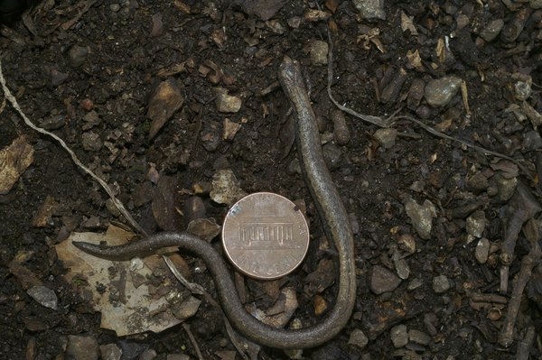 Comparateur assurance : comparez et choisissez en toute confiance